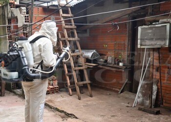 Misiones en alerta por circulación de casos de dengue con serotipo DENV-2