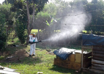 En Iguazú, detectan mosquitos resistentes a insecticidas y analizan casos de Posadas
