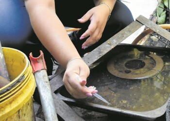 Misiones en alerta por circulación de casos de dengue con serotipo DENV-2