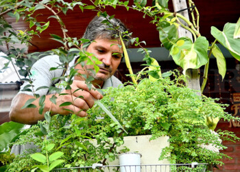 Brote de dengue en Posadas: hoy se hacen bloqueos en la chacra 96, San Isidro y A-3-2