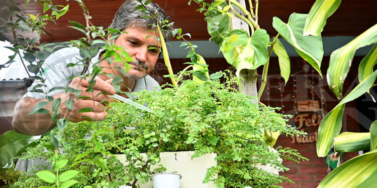 NO BAJAR LOS BRAZOS. Desde Salud Pública piden a la población que siga el combate contra el vector.