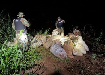 Cayó casi media tonelada de droga en la costa de Eldorado
