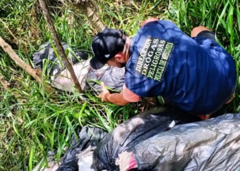 Encuentran casi 100 kilos de droga acopiada a la vera de la ruta 12 en Misiones
