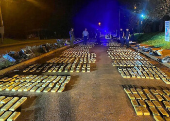 Secuestran carga de droga valuada en más de 95 millones de pesos