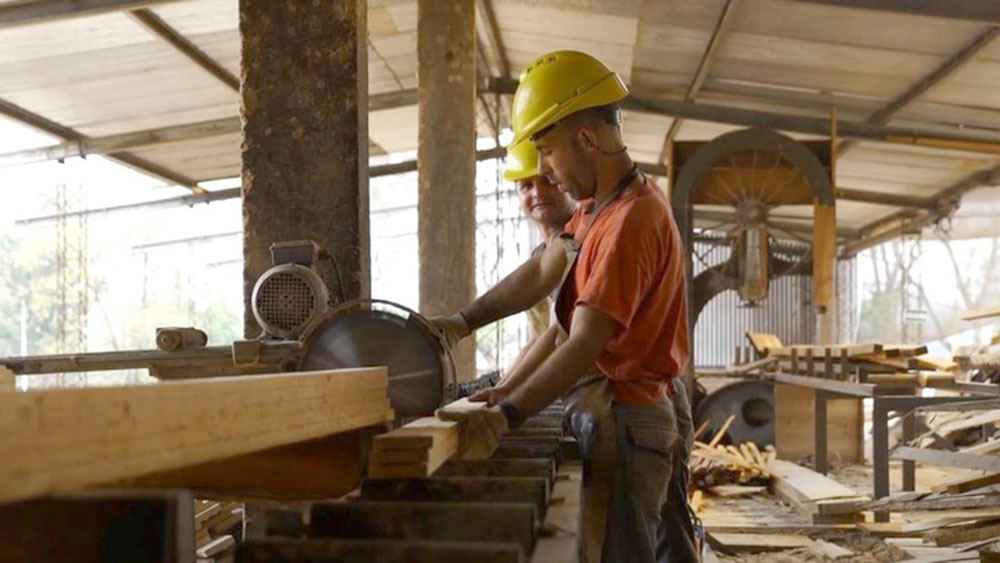 Forestoindustria en Misiones: “Hay un panorama muy preocupante en el mercado interno”