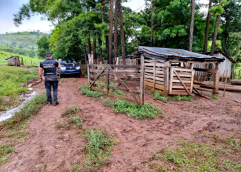 Investigan la muerte de un hombre en Montecarlo