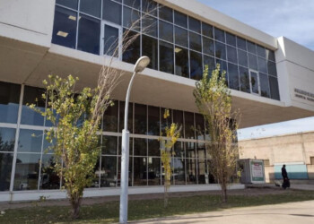 Confirman primer caso humano de encefalomielitis equina del país