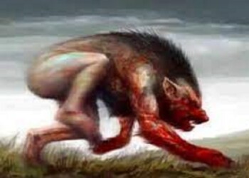 Creer o reventar: Seres mitológicos y posesiones espirituales en Misiones