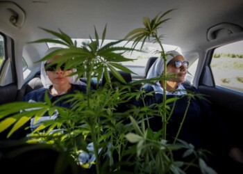Quiénes son las “monjas de la marihuana”