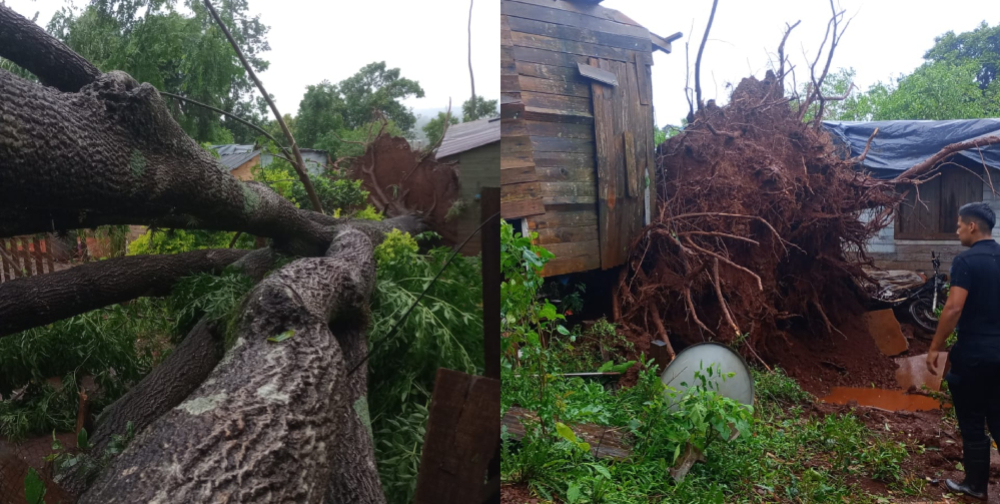 Más localidades reportaron daños tras el temporal