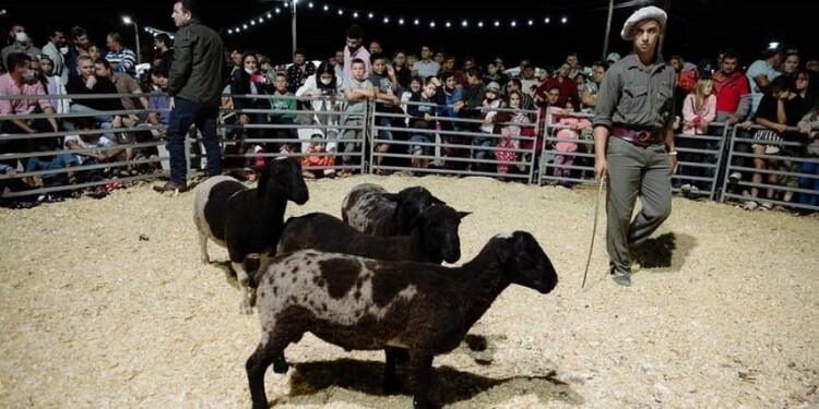 PUNTAPIÉ INICIAL La primera actividad de la SROCEPM para el próximo año será en San José, el próximo 2 de febrero.