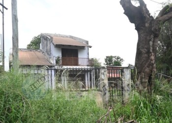 La rescatista de perros fallecida tenía “fisura de costilla”