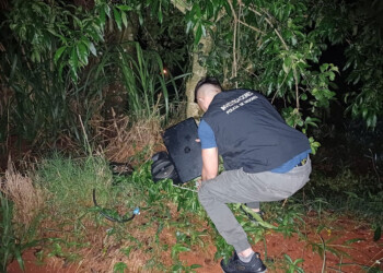 Desvalijan una escuela y dejan un mensaje mafioso en el pizarrón