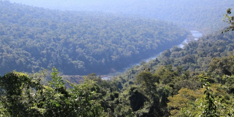 POTENCIAL. Más allá del resguardo, la inversión buscará el desarrollo de proyectos sustentables de impacto.