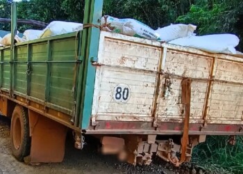 Tres camiones cargados de soja fueron incautados en San Vicente y El Soberbio