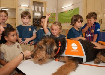 Hablamos de la Certificación de Animales que NO EXISTE