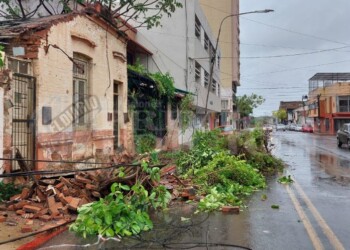 Un árbol se desprendió de una vivienda abandonada y obstruyó parcialmente una calle en el centro de Posadas