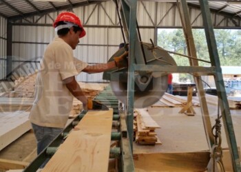 Industriales y productores de Misiones, en alerta por las importaciones