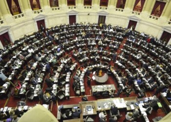 DNU: Misiones mantendría la cantidad de diputados pero con otra forma de elección