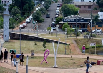 Intendentes electos pasaron la “motosierra” en sus municipios