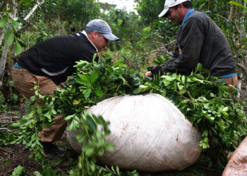 Para la Cámara de Apelaciones no hay “peligro potencial” y no se habilitó la feria