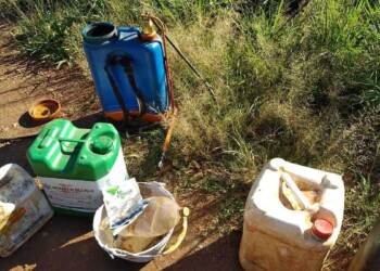 Denuncian que intendente renovador ordena fumigar zonas urbanas con glifosato