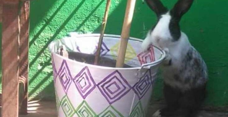 Emilio cumplió 7 añitos