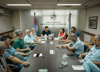 Productores de té autoconvocados se movilizan por la crisis que atraviesa el sector