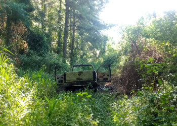 Los restos óseos calcinados hallados ayer en Wanda fueron trasladados a la morgue de Posadas