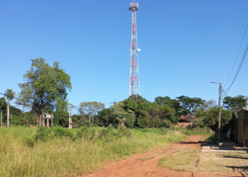 El sur posadeño posee el mayor número de baldíos abandonados