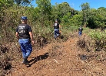 Caso Ariel Peña: “No perdemos la fe y la esperanza de encontrarlo”