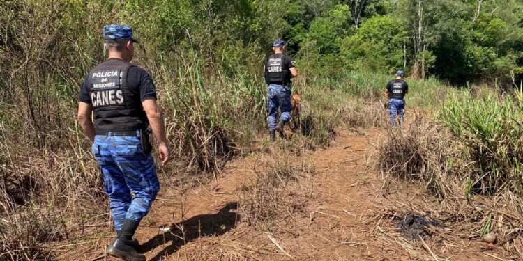 PUERTO ESPERANZA. En la imagen se ve a efectivos de la Brigada de Canes en una de las jornadas de búsqueda.