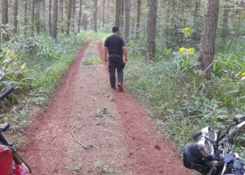 Ampliaron la búsqueda de Ariel Peña a otras localidades del norte