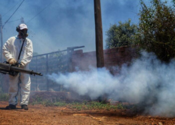 Iguazú: Passalacqua pidió compromiso social en la prevención contra el Dengue