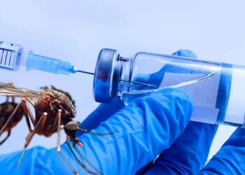 Todas las acciones necesarias contra el dengue, nuestro editorial de hoy