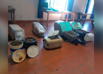 Más de 60 kilos de marihuana estaban ocultos en una encomienda