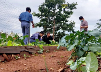Docentes de la Educación Profesional Secundaria reclaman que no cobran su sueldo desde noviembre