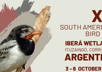 Ituzaingó será sede del encuentro de observadores de aves más importante de Latinoamérica