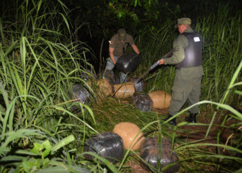 Secuestraron más de 300 kilos de marihuana en Colonia Delicia