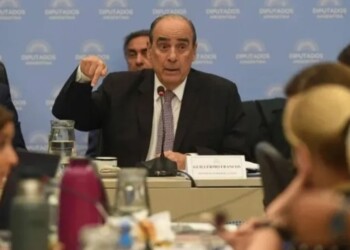 Francos dijo que Milei no utilizará las facultades delegadas para cuestiones fiscales