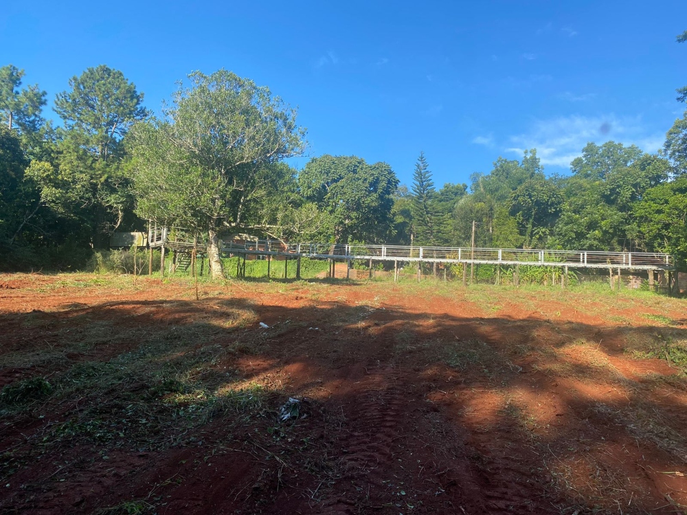 En Montecarlo comenzó la preparación del terreno para replantar el laberinto vegetal