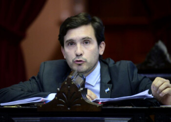 Arjol presentó un proyecto para restituir las facultades de regulación al INYM