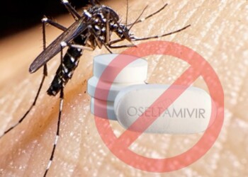 “El Oseltamivir lejos está de poder colaborar en la mejoría de un paciente con dengue”