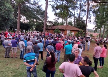 Yerbateros quieren más de $500 por kilo de hoja verde o suspenderán la cosecha