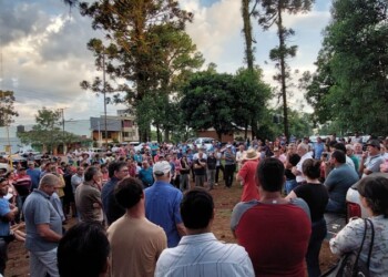 Yerbateros quieren más de $500 por kilo de hoja verde o suspenderán la cosecha