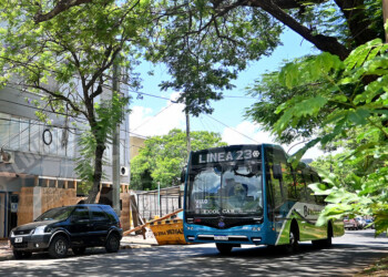 Habilitan por completo el tránsito en la avenida Mitre por avance de trabajos en el edificio Sofía