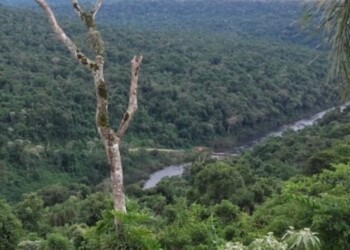 Multisectorial instó a legisladores a “proteger derechos y ambiente”