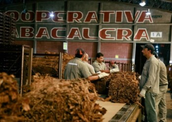 Passalacqua recorrió la CTM en el primer día de acopio de tabaco