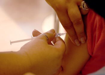 Cuáles son los criterios que utilizará Misiones para aplicar la vacuna contra el dengue