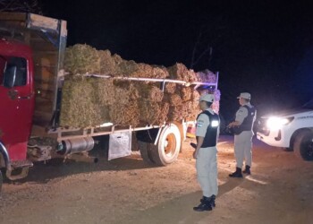 Pese al “histórico acuerdo”, sigue el contrabando de tabaco a Brasil